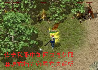 传奇私服中如何快速获取麻痹戒指?必看方法解析 传奇私服中如何快速获取麻痹戒指?必看方法解析