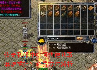 传奇私服中如何快速获取麻痹戒指?必看方法解析 传奇私服中如何快速获取麻痹戒指?必看方法解析