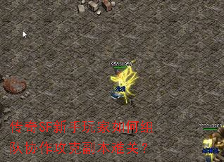 传奇SF新手玩家如何组队协作攻克副本难关? 传奇SF新手玩家如何组队协作攻克副本难关?