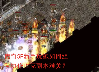 传奇SF新手玩家如何组队协作攻克副本难关? 传奇SF新手玩家如何组队协作攻克副本难关?