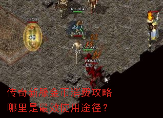 传奇新服金币消费攻略哪里是最效使用途径? 传奇新服金币消费攻略哪里是最效使用途径?