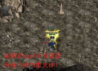 如何在cqsf中有效提升角色HP与最大HP? 如何在cqsf中有效提升角色HP与最大HP?