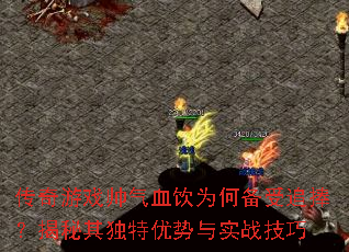 传奇游戏帅气血饮为何备受追捧?揭秘其独特优势与实战<a href=