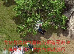 传奇游戏帅气血饮为何备受追捧?揭秘其独特优势与实战技巧 传奇游戏帅气血饮为何备受追捧?揭秘其独特优势与实战技巧