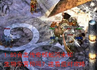 <a href=