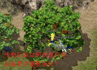 传奇玩家如何快速判断装备是否需要强化? 传奇玩家如何快速判断装备是否需要强化?