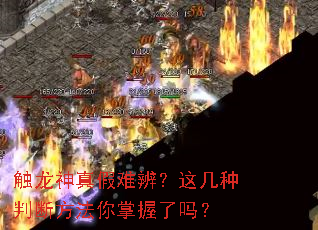 触龙神真假难辨?这几种判断方法你掌握了吗? 触龙神真假难辨?这几种判断方法你掌握了吗?