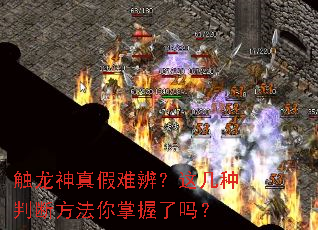 触龙神真假难辨?这几种判断方法你掌握了吗? 触龙神真假难辨?这几种判断方法你掌握了吗?