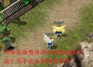 传奇私服竞技场中谁是最强玩家?高手必备攻略有哪些? 传奇私服竞技场中谁是最强玩家?高手必备攻略有哪些?