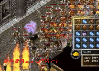 新手遭遇boss如何应对? 新手遭遇boss如何应对?