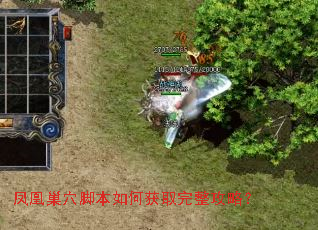 凤凰巢穴脚本如何获取完整攻略? 凤凰巢穴脚本如何获取完整攻略?