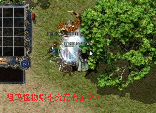 祖玛怪物爆率究竟有多高? 祖玛怪物爆率究竟有多高?