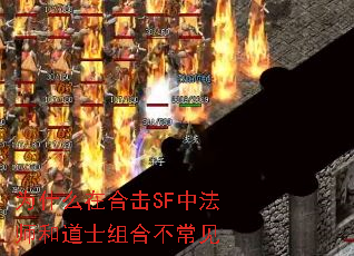 为什么在合击SF中法师和道士组合不常见 为什么在合击SF中法师和道士组合不常见