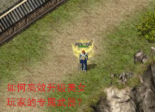 如何高效升级美女玩家的专属武器? 如何高效升级美女玩家的专属武器?