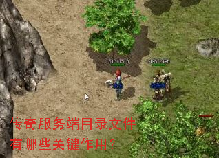 传奇服务端目录文件有哪些关键作用? 传奇服务端目录文件有哪些关键作用?