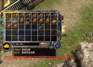 30级战士适合去祖玛寺庙练级吗? 30级战士适合去祖玛寺庙练级吗?