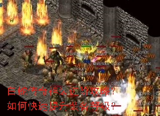 白蛇传奇神装进阶攻略?如何快速提升装备等级? 白蛇传奇神装进阶攻略?如何快速提升装备等级?