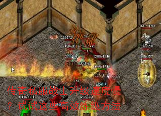 传奇私服战士升级速度慢?试试这些高效练级方法 传奇私服战士升级速度慢?试试这些高效练级方法