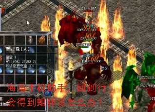 海马手机助手,回到行会得到蛆卵该怎么办? 海马手机助手,回到行会得到蛆卵该怎么办?