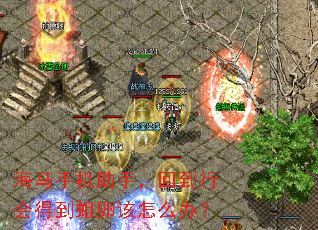 海马手机助手,回到行会得到蛆卵该怎么办? 海马手机助手,回到行会得到蛆卵该怎么办?