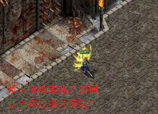 新手挂机宝典?如何安全高效提升等级? 新手挂机宝典?如何安全高效提升等级?