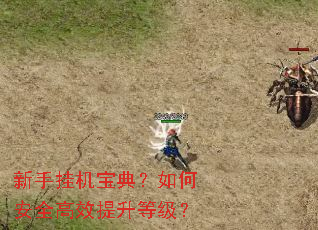 新手挂机宝典?如何安全高效提升等级? 新手挂机宝典?如何安全高效提升等级?