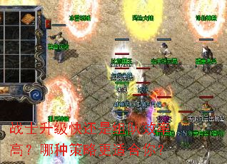 战士升级快还是组队效率高?哪种策略更适合你? 战士升级快还是组队效率高?哪种策略更适合你?