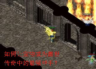 如何让宠物成为盖世传奇中的最强帮手? 如何让宠物成为盖世传奇中的最强帮手?