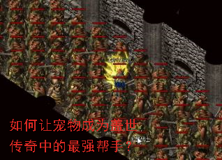 如何让宠物成为盖世传奇中的最强帮手? 如何让宠物成为盖世传奇中的最强帮手?