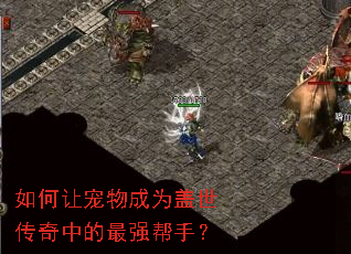 如何让宠物成为盖世传奇中的最强帮手? 如何让宠物成为盖世传奇中的最强帮手?