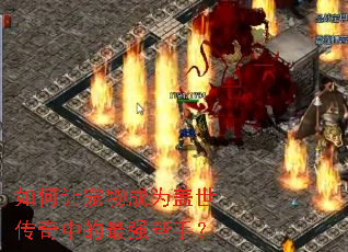 如何让宠物成为盖世传奇中的最强帮手? 如何让宠物成为盖世传奇中的最强帮手?