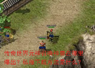 传奇世界元神召唤神兽在哪里爆出?私服下载方法是什么? 传奇世界元神召唤神兽在哪里爆出?私服下载方法是什么?