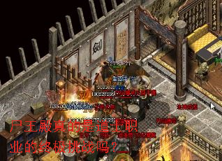 尸王殿真的是道士职业的终极挑战吗? 尸王殿真的是道士职业的终极挑战吗?