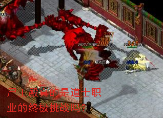 尸王殿真的是道士职业的终极挑战吗? 尸王殿真的是道士职业的终极挑战吗?