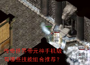 传奇世界带元神手机版有哪些技能组合推荐? 传奇世界带元神手机版有哪些技能组合推荐?