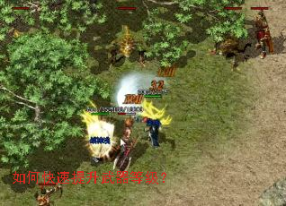 如何快速提升武器等级? 如何快速提升武器等级?