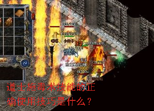 道士施毒术技能的正确使用技巧是什么? 道士施毒术技能的正确使用技巧是什么?