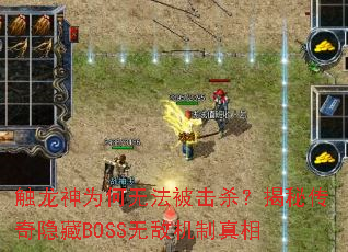 ������Ϊ���޷�����ɱ�����ش�������BOSS�޵л�������