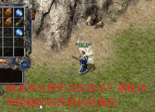 ������Ϊ���޷�����ɱ�����ش�������BOSS�޵л�������