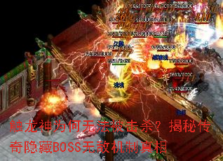 ������Ϊ���޷�����ɱ�����ش�������BOSS�޵л�������