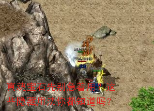 ��걦ʯ�ȱ����ã���Щ�����÷��㶼֪����