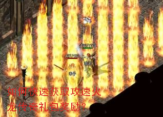 ��ο��ٻ�ȡ���ٻ����������������