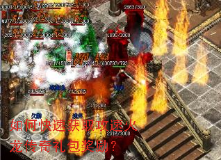 ��ο��ٻ�ȡ���ٻ����������������