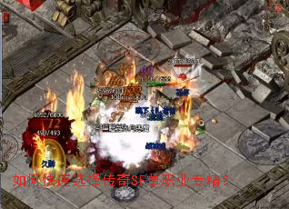 ��ο���ѡ����SF��ְҵר����