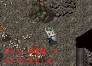 ��һ�δ��ħ���Щϸ����ע������