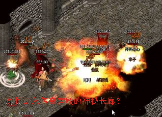 ��ν��봫�湬������س��ȣ�