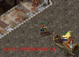 ��ν��봫�湬������س��ȣ�