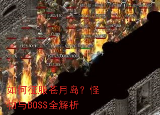 ����������µ���������BOSSȫ����