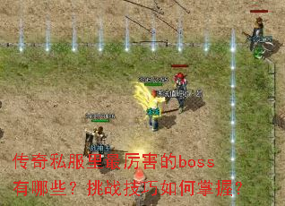 ����˽������������boss����Щ����ս����������գ�