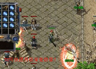 ��ο�����������ѫ�£�